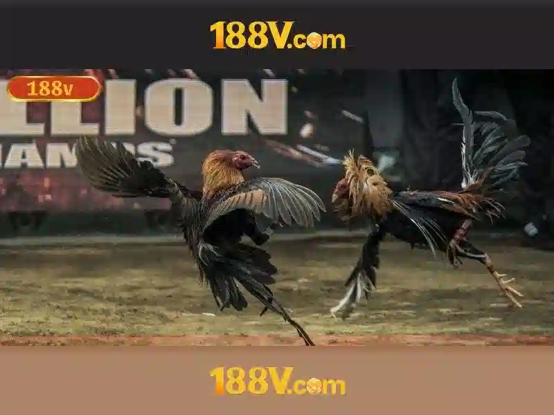 Trải Nghiệm Slot Đỉnh Cao